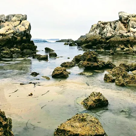 Maia Surf House - Baleal Διαμέρισμα